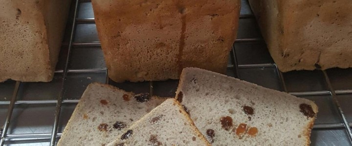 Easy to slice gluten free sultana loaf only at Artisan Gluten Free Bakery Rockhampton Easy to slice gluten free sultana loaf only at Artisan Gluten Free Bakery Rockhampton